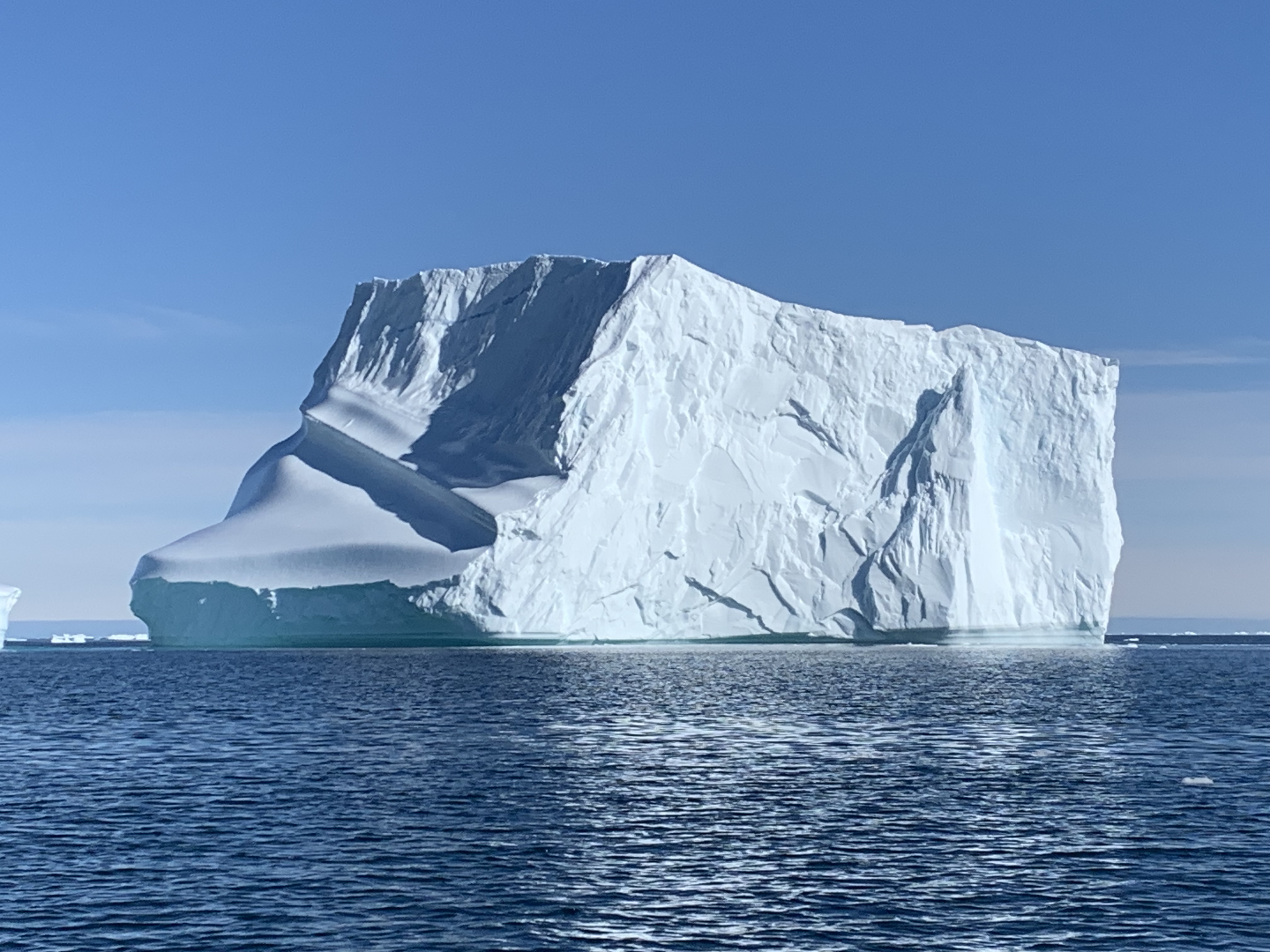 Knowing & Acting : services pour la protection et la restauration de l’océan